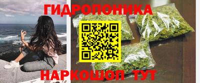 гашик Ангарск