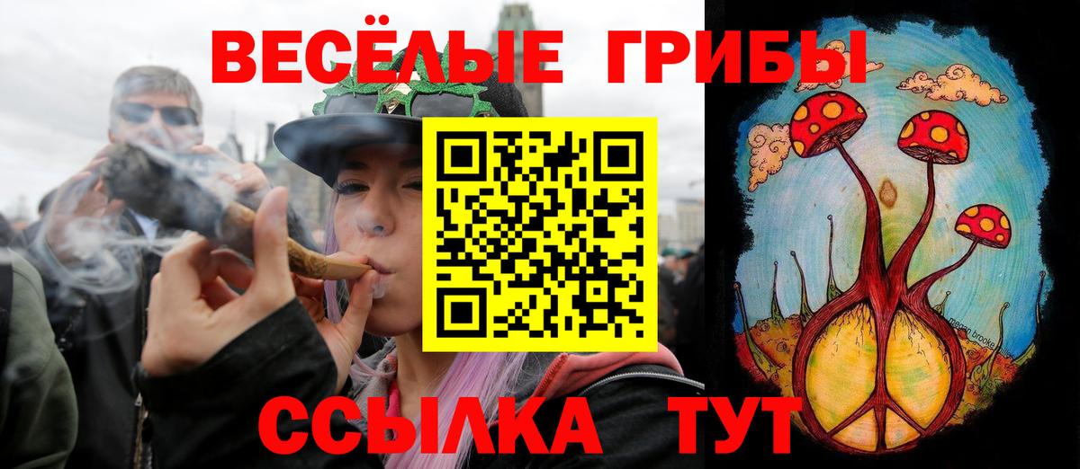где продают наркотики  Вход с VPN  Азнакаево  Галлюциногенные грибы Magic Shrooms 